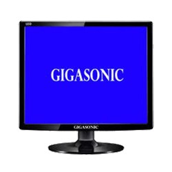 Gigasonic 17 Inch Square LED Monitor